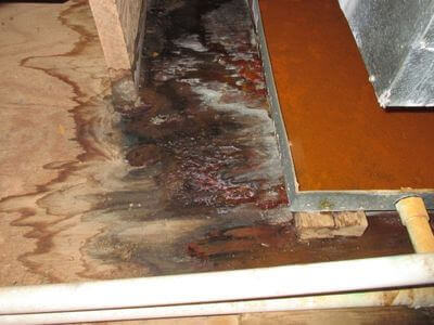 About Trusted Restoration Experts - water damage restoration experts in Echola, AL