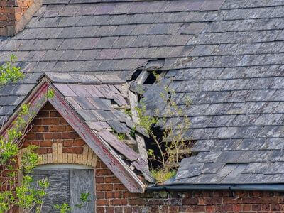 Professional water damage restoration services in Echola, AL - Trusted Restoration Experts